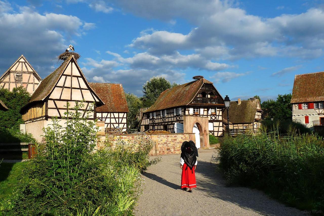 Breitenbach-Haut-Rhin Chez Christian 아파트 외부 사진