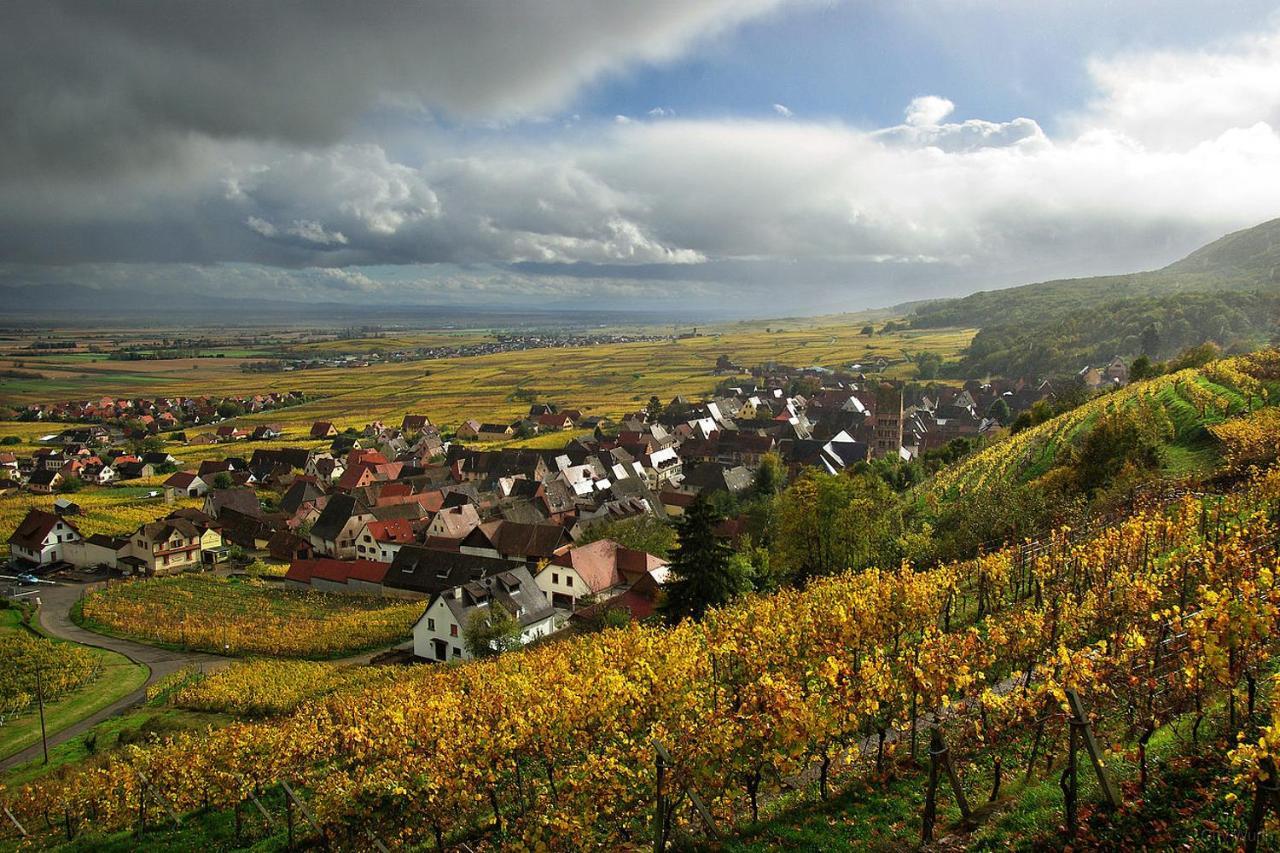 Breitenbach-Haut-Rhin Chez Christian 아파트 외부 사진